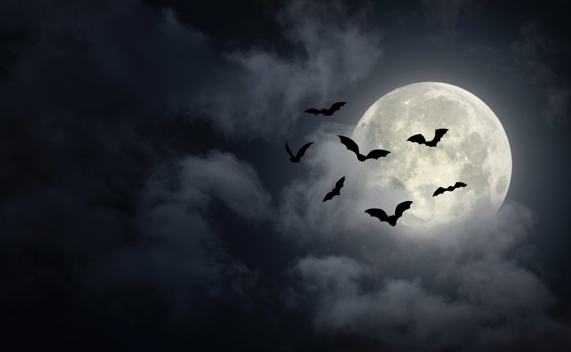 You’re Invited: A Halloween Chat on Evil — With Rainn Wilson